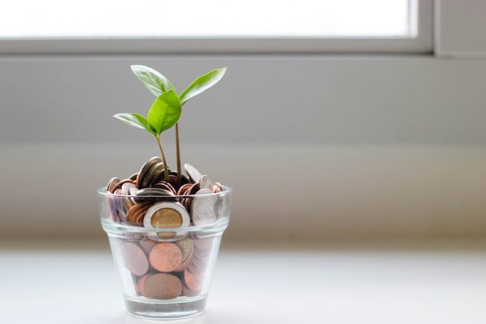 A seedling growing out of a jar of coins.
