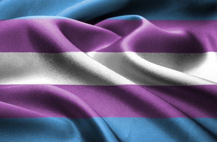 The transgender pride flag.