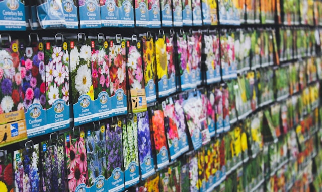 A garden centre rack of seed packets. Typeset offers writing, editing and proofreading services for businesses in horticulture