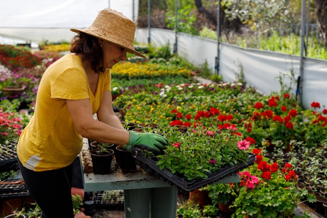 A woman working in a garden centre. Typeset writes brochures, catalogues, pamphlets, flyers and mailouts for horticultural businesses
