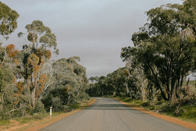 A bush road in Western Australia, where Typeset provides editorial services to local governments, shires, towns and city councils.